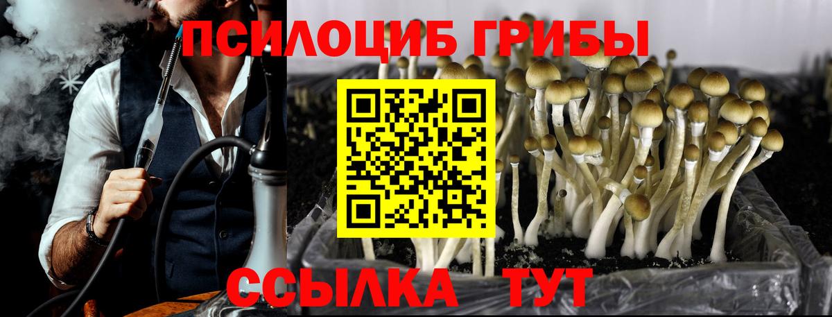 Псилоцибиновые грибы Cubensis Славянск-на-Кубани